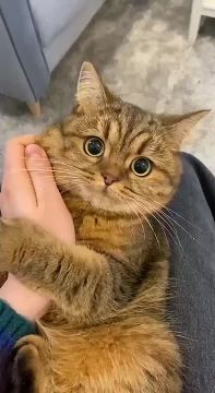 Доброго утра , дорогие Мелитопольцы!