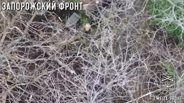 Запомни хохол, мы видим каждый твой шаг и от нас не спрячешься! Продолжение следует