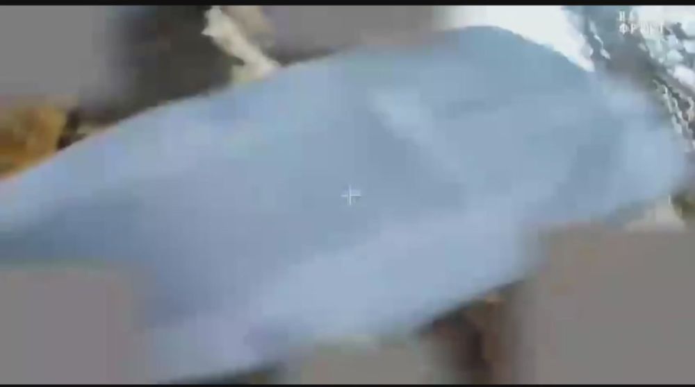 от Енота Херсона за прошедшие сутки