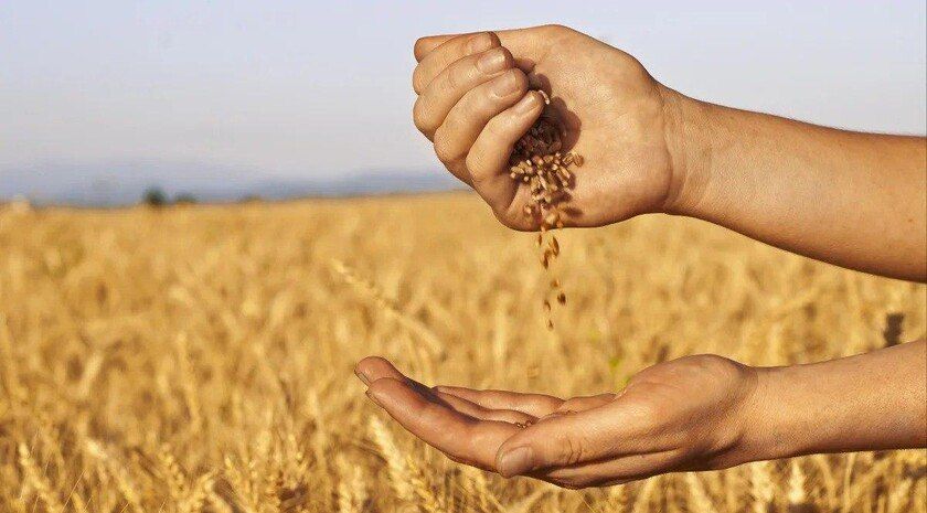 ����� 5 ���� ���. ������������� ��� ��������� �������� � ������������ ��������