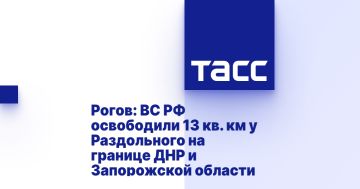 Рогов: ВС РФ освободили 13 кв. км у Раздольного на границе ДНР и Запорожской области