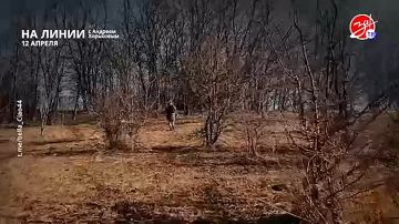  Разбираем обстановку на фронте вместе с Андреем Хорьковым в программе «На Линии» | 12 апреля