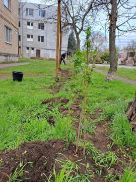 В Токмакском муниципальном округе проходит Месячник по благоустройству, санитарной очистке и озеленению территории муниципалитета