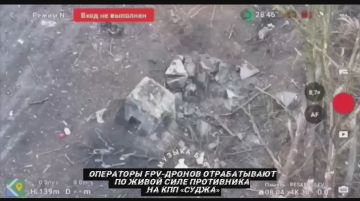      от Енота Херсона      за прошедшие сутки