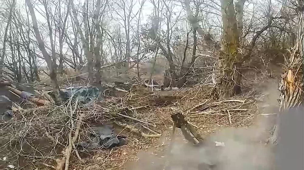 ��������� ������ 19 ������� 58 ����� ���������� ���� � �������������� ������ ���������� � ������ ������������ �� ����������� �����������