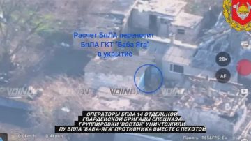      от Енота Херсона      за прошедшие сутки
