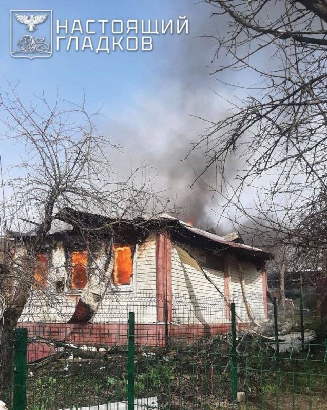 Олег Царёв: 52 украинских БПЛА самолетного типа уничтожила ночью ПВО над шестью областями России: 33 – над Брянской обл, 10 – над Орловской, по 3 – над Курской и Тульской, 2 – над Калужской, один – над Белгородской обл