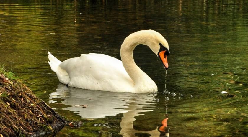 Школьники из Энергодара победили в международном фотоконкурсе «Территория успеха»