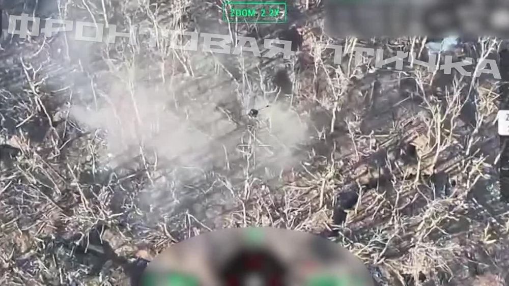 ����������� ����-��� ��� FPV-������ ����������� ���������� ������������� ������ ������