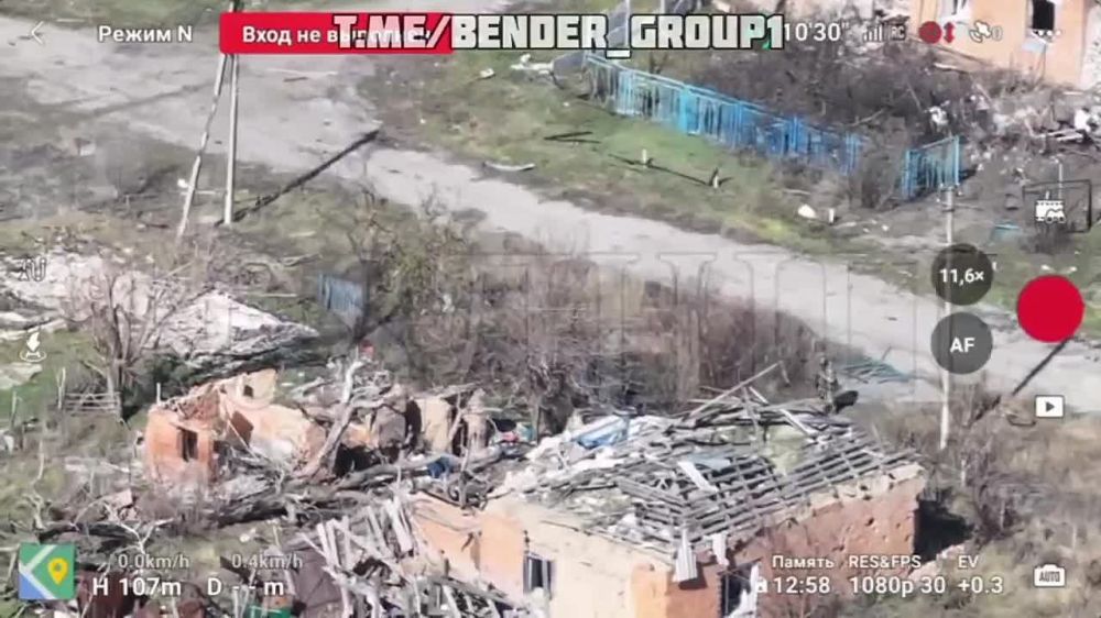 ����������� �����. ����� ������ �.�. ����� �������