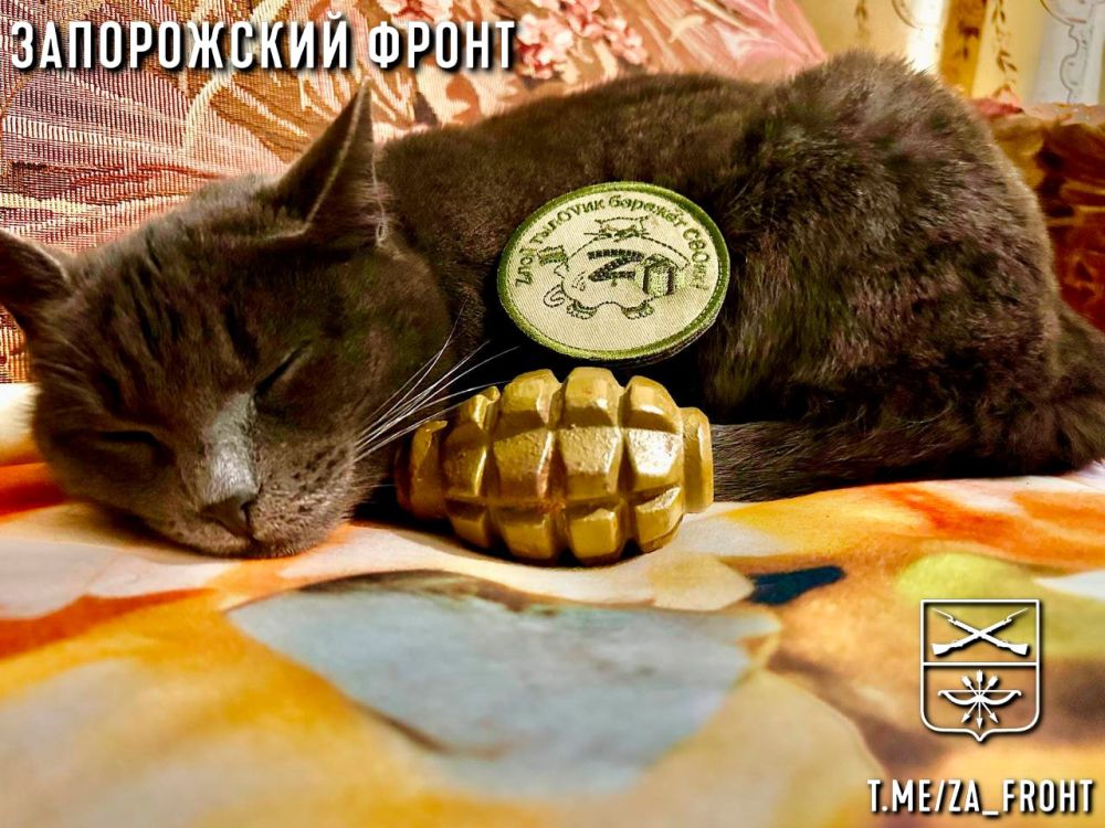 ���� ������� ���� � ������������ �����������