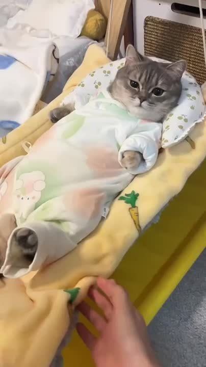 ������� ���� , ������� ������������!