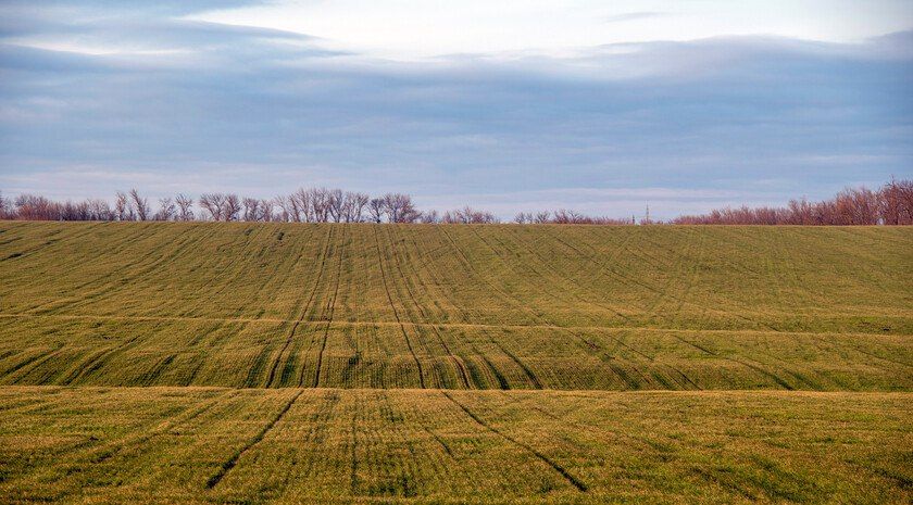 Мишустин поручил оказать аграриям необходимую поддержку во время весенних работ