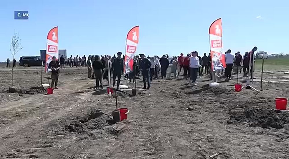 � ������ � ������ � ���������� ���������� �������� ������� �������� ������ ������