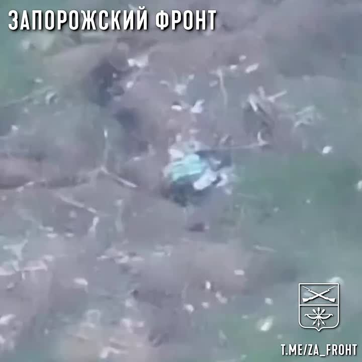 �������� ����� "������" �� ������ "�����" 291-�� ����� ������� ��������� ��������� ������� �� ����������� �����������