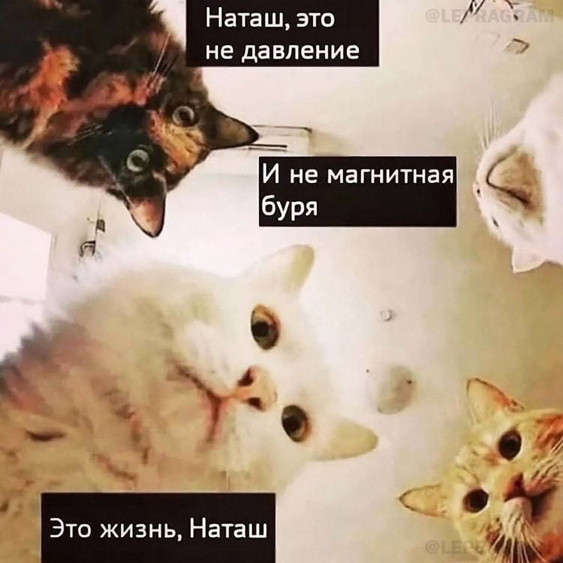 ��������� ���� �������� � �����: � 2025 ���� ������ �������� ���� ����� ���������� � ������ ��� ���������� �������� �� 7 ���