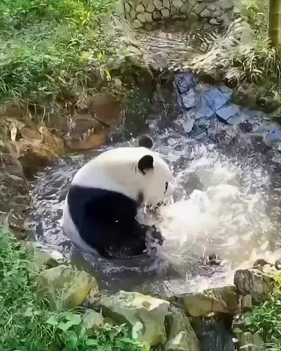 �������� �������� ���� ������ � ���������� ������!