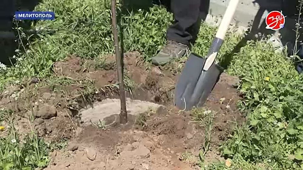 �������� ����������� ��������� ��������� � �������� ������ ���������� ������ � ������� ���������� �����