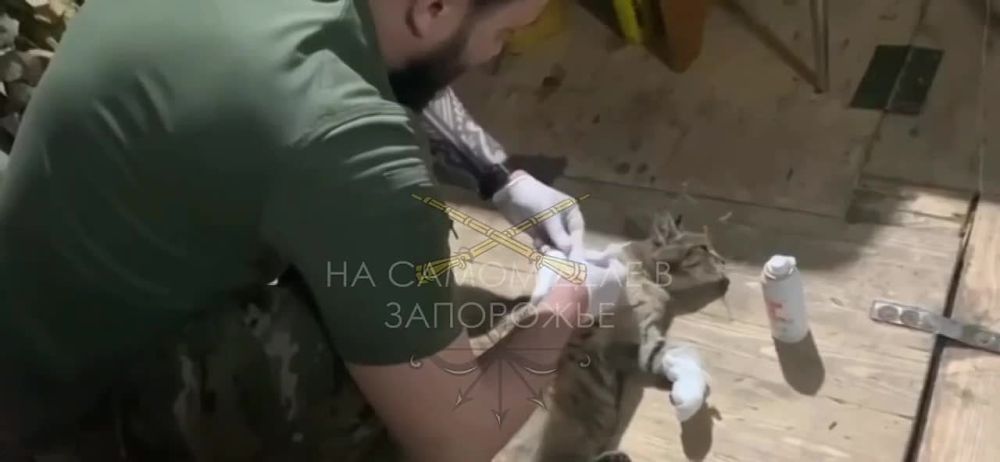��������� ���� ������� �������, �� ���� ������ �� �������� ��� � ������� ������ ������