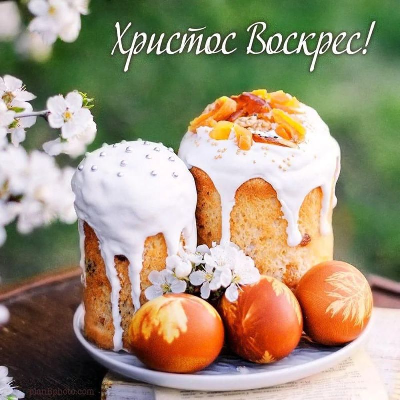������������ ���������� ���������� ����������� ����������� ������� ������ ������� � ������