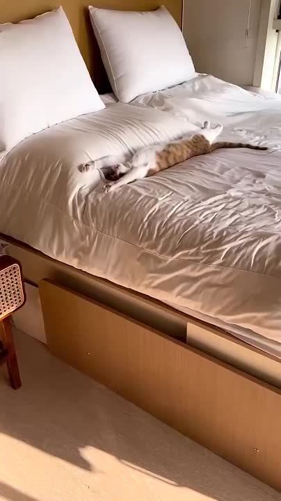 ������� ���� , ������� ������������!