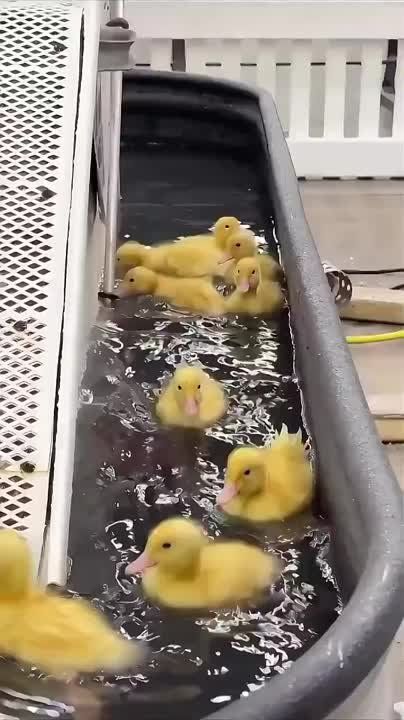 ��������� ����������� ���������� ���� � �������� ���������� ������!