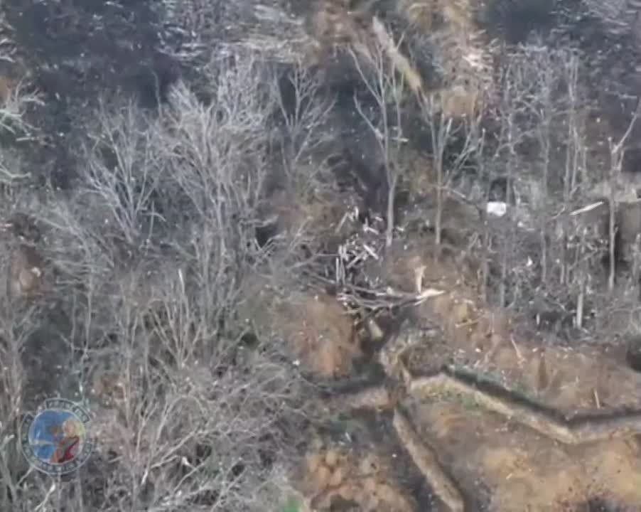 ����� ���������� ����������� FPV-����� ���������� ���� �������� �� �������� ����������