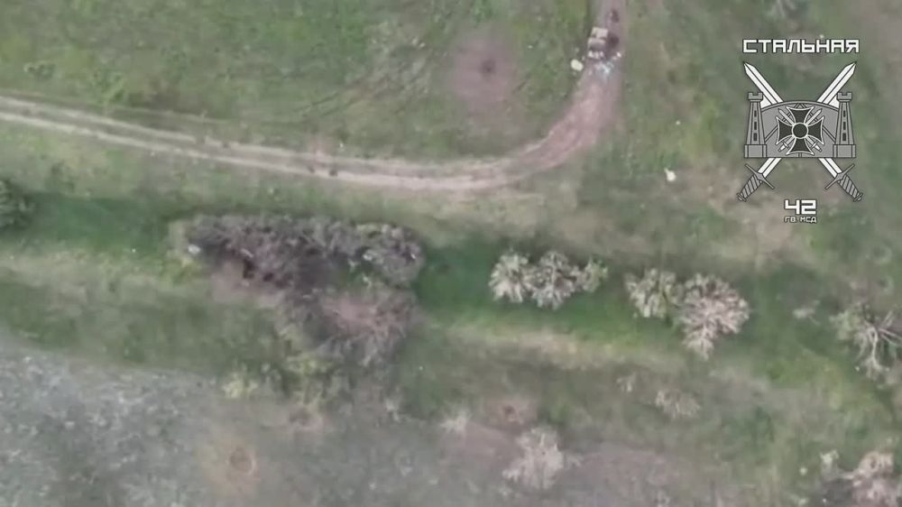 Бойцы стальной 42-й гвардейской дивизии уничтожили пикап ВСУ миной ПТМ-3 на Ореховском направлении