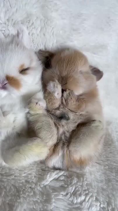 �������� ����� ������ � ���������� ����������!