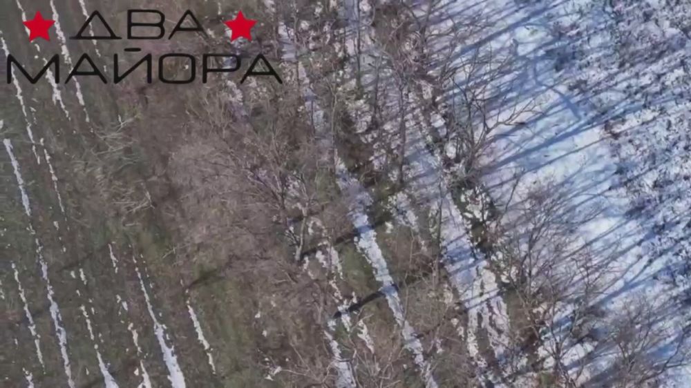 ��� ������: ����������� �����, ����� 2025, ����������� �����