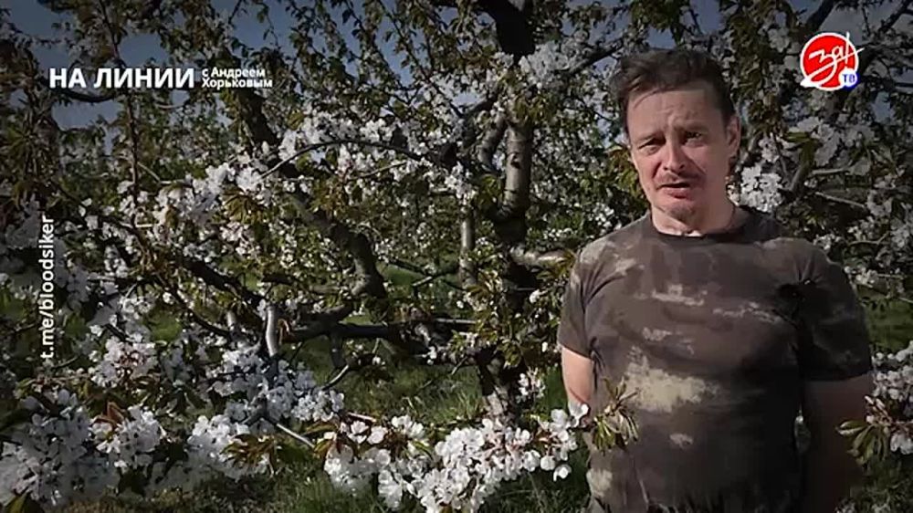 Разбираем обстановку на фронте вместе с Андреем Хорьковым в программе «На Линии» | 21 апреля