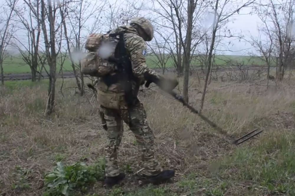 Саперы группировки войск «Днепр» ведут работы по разминированию лесополос, оставленных украинскими подразделениями в Запорожской области