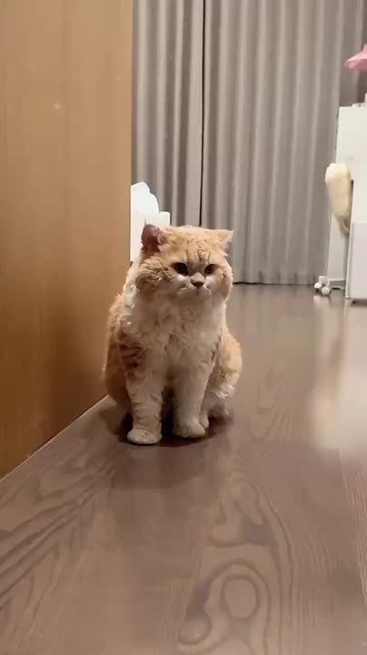 �������� ��, ��� ������� � ������ ������酻