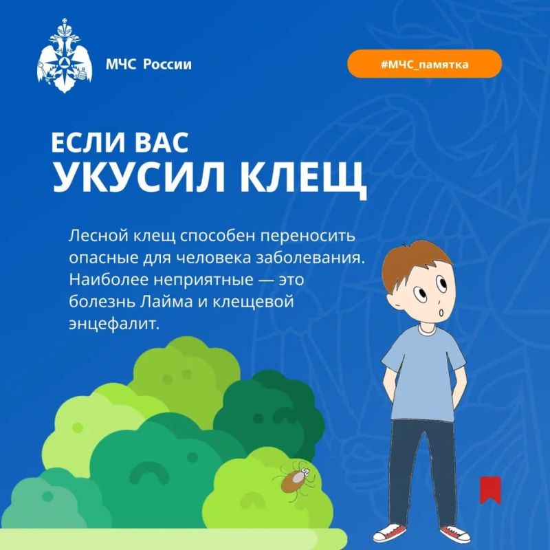 ��� ������: ��� �������� ������� ������ � ��� ������, ���� ���� ������