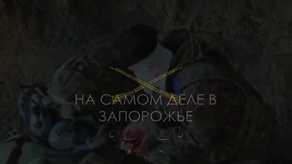 Запорожский фронт. — Ты сама от куда?