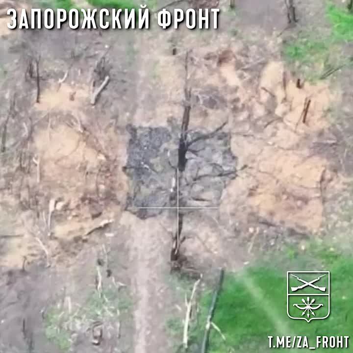 ������, �������� ����� �� ������ �����, � 291-��, ��� ������ � ���� � ��������� ��������� ������� ����� �� ����������� �����������