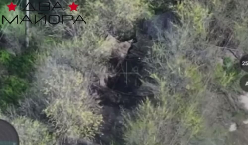 Два майора: Запорожский фронт, докладывает Стальная Сорок Вторая: