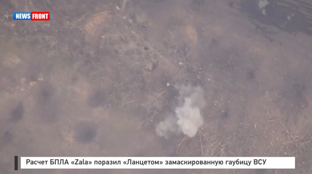 ������ ���� �Zala� ������� ��������� ��������������� ������� ���