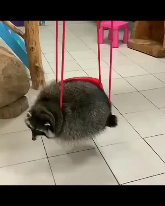 ������ ����, ������! �������� ��� ��� � ��������� ����������!