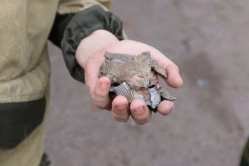 Погиб человек, повреждено здание рынка, без света остались люди: ВСУ атаковали два округа в Запорожской области