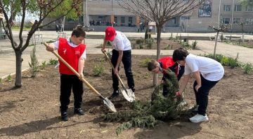 Школьники Запорожской области высадили можжевельники ко Дню Земли