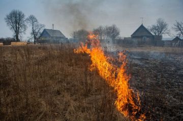 Правила пожарной безопасности при проведении уборки приусадебной территории