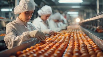 В Запорожской области растет производство яиц