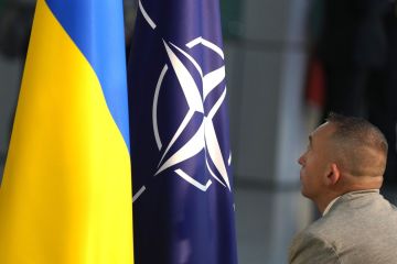 Экс-чиновник НАТО высказался о позиции ЕС по территориям Украины