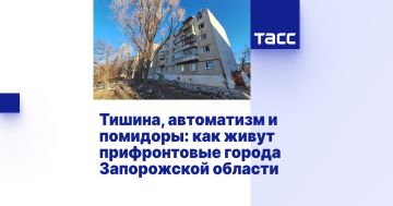 Тишина, автоматизм и помидоры: как живут прифронтовые города Запорожской области