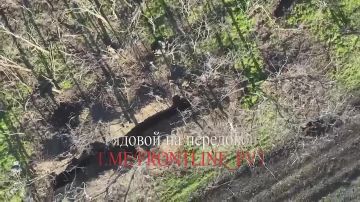 Операторы FPV-дронов из группировки войск "Восток" предотвратили доставку боеприпасов ВСУ на Южно-Донецком направлении