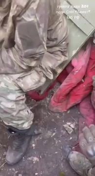 "Задачу выполнили!". Кадры от 9.03.2025. Штурмовики группы Аида 204 полка СпН "Ахмат" МО РФ после взятия опорника ВСУ