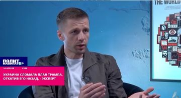 США хлебнули «украинской дипломатии»: Зеленский нахально сломал план Трампа – укро-эксперт