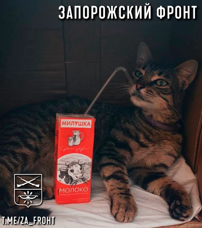���� ������� ���� � ������������ �����������