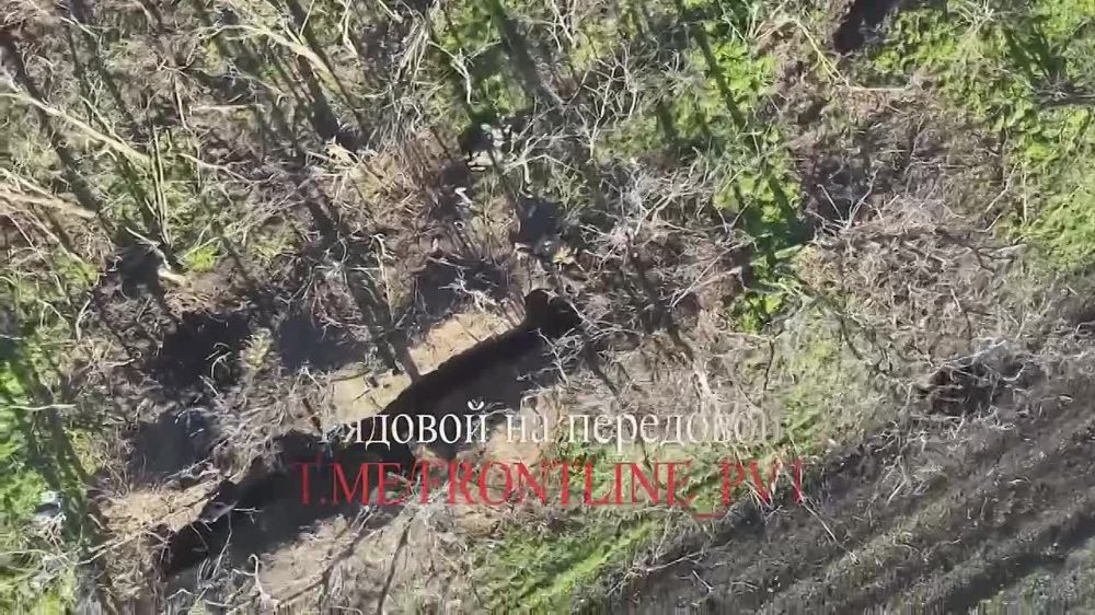 ��������� FPV-������ �� ����������� ����� "������" ������������� �������� ����������� ��� �� ����-�������� �����������